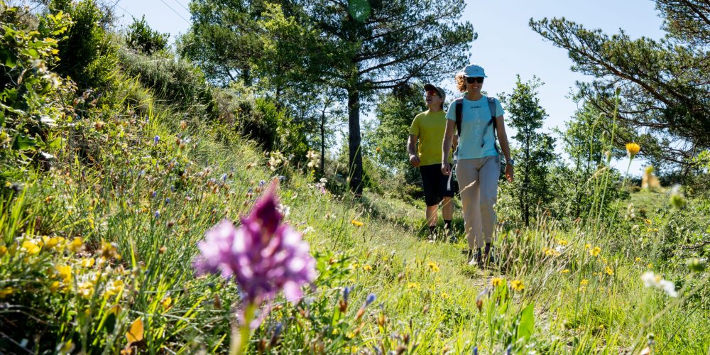 Valle de Aisa Trails (4)